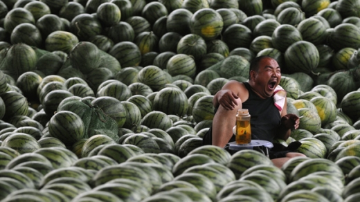 The Gilded Age of Watermelon